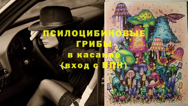 ПСИЛОЦИБИНОВЫЕ ГРИБЫ Инта