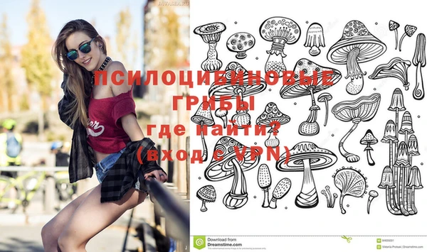 МДПВ Иннополис