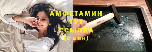 ПСИЛОЦИБИНОВЫЕ ГРИБЫ Инта