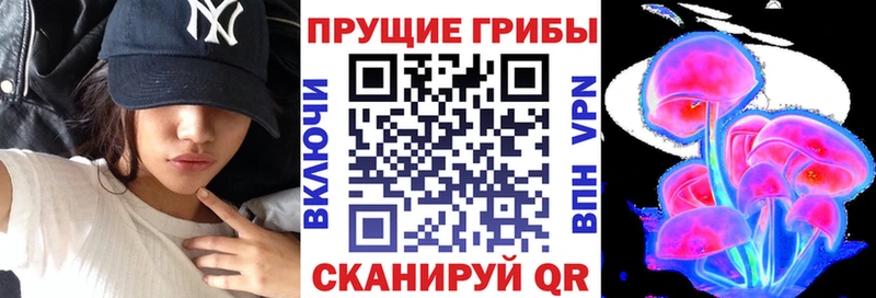 Псилоцибиновые грибы Psilocybine cubensis Купить Усть-Катав